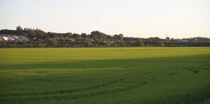 Paisagem em Alcácer do Sal Paisagem em Alcácer do Sal