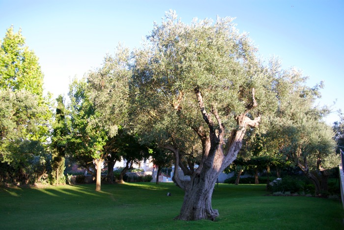 Pousada Alcácer do Sal - D. João II